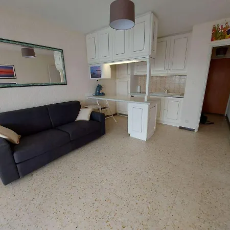Studio Front De Mer Au Grau D'agde Avec Terrasse Et Parking Prive - Fr-1-423-285 *